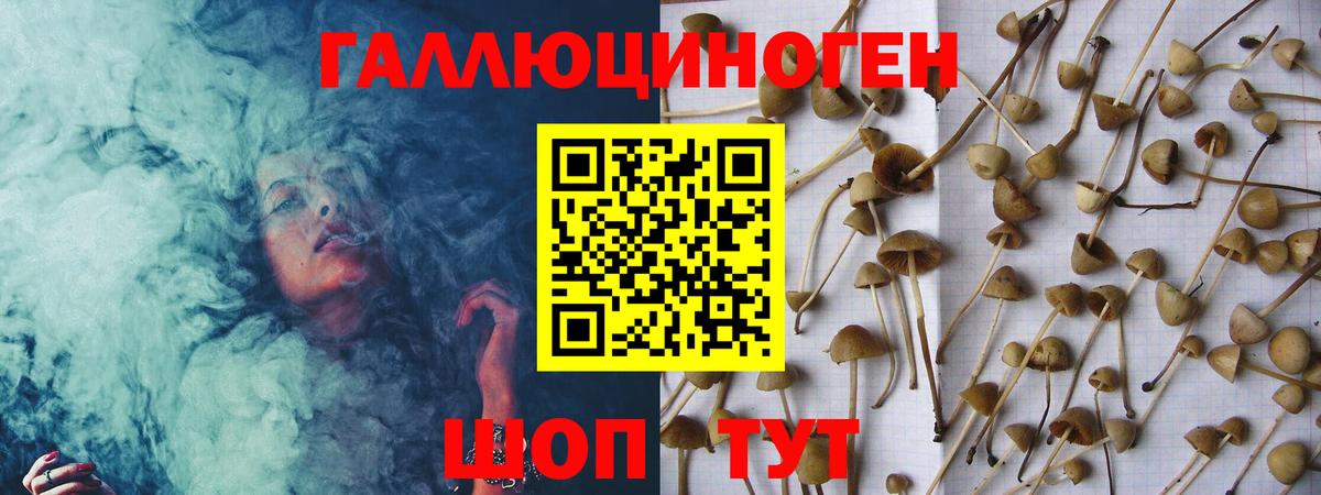 Галлюциногенные грибы MAGIC MUSHROOMS Батайск